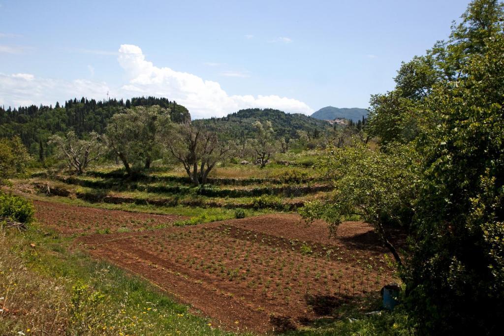 Pelecas Country Club Ξενοδοχείο Πέλεκας Εξωτερικό φωτογραφία