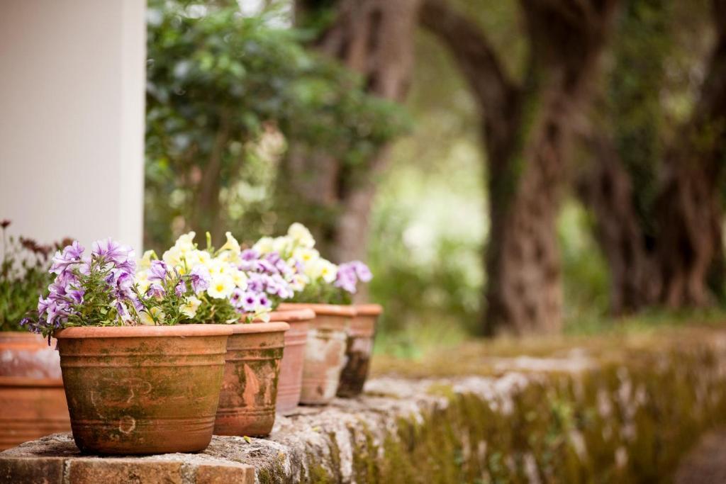 Pelecas Country Club Ξενοδοχείο Πέλεκας Εξωτερικό φωτογραφία